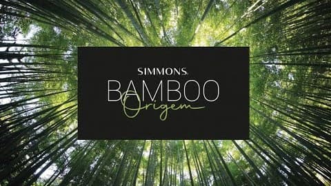 Miniatura do vídeo Simmons Bamboo Origem – A evolução de uma lenda