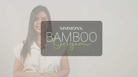 Miniatura do vídeo Tecnologias Bamboo Origem